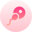 Insemination